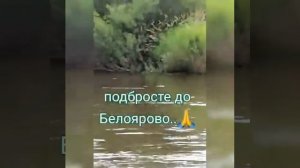 Ульма 2020.  Сплав. 1августа