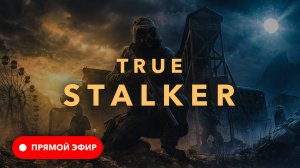 ☢️ True Stalker ☢️ Новый взгляд на старую игру ☢️