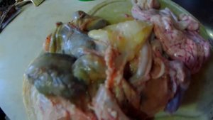 Болезнь у кур. Съедобна или нет?
