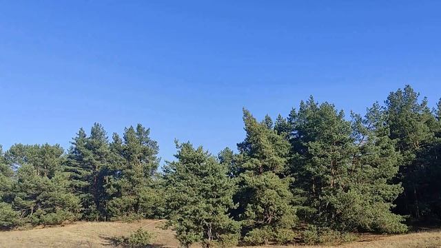 Стрижка ногтей в феврале 2022 году по лунному календарю.