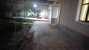 ПИРОЖКИ? из 80-х! ЖАРИМ ?ГРИБЫ. Рассказы? МАМЫ про дачу?? КОСМОНАВТОВ.