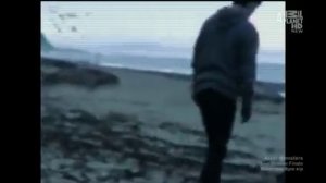 Шок . Живая русалка выбросилась на берег