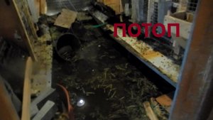 Вода прёт ото всюду. Бурная весна.