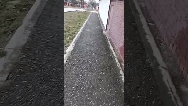 Прогулка.Дисциплина.Энергия. Развитие.Артур Эш #чеченскаяреспублика#грозный #спорт@Grozny_Guide