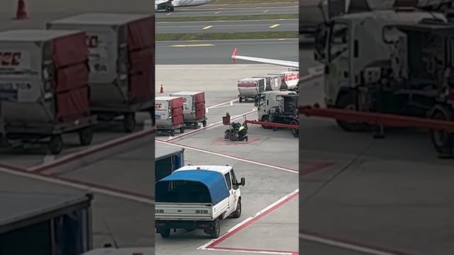 Istanbul Airport. Turkish Airlines / Стамбульский аэропорт.Турецкие авиалинии. смотреть онлайн