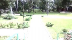 Березовая роща 2