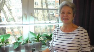 СЕКРЕТ Орхидеи НА ХОЛОДНЫХ ЗИМНИХ ПОДОКОННИКАХ. Как Утеплить подоконник для Орхидей. Мой Опыт...