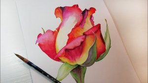 Роза АКВАРЕЛЬЮ // Rose IN WATERCOLOR.
