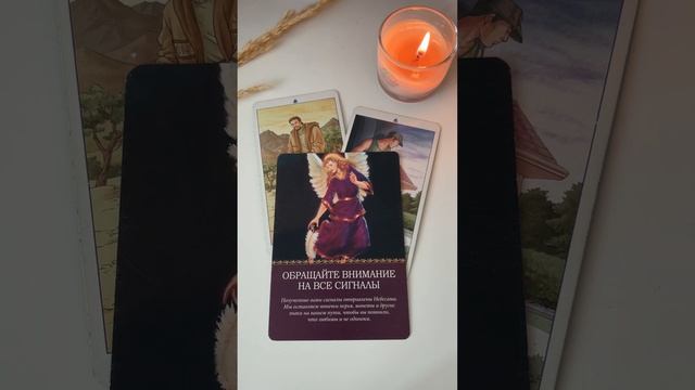 17 - 23 октября. Расклад Таро на неделю по Знакам Зодиака смотреть онлайн