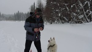 ЛЕСНАЯ ИЗБА. ? ВТОРОЙ ЗАЕЗД. ОХОТА И РЫБАЛКА