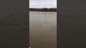ловля сома в Астрахани октябрь 2022