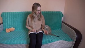ВПЕРВЫЕ - КОРМЛЮ СУРИКАТА ГОЛОВОЙ КУРИЦЫ ?
