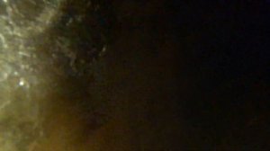 Подводная охота на Ладоге. Самые рыбные места.