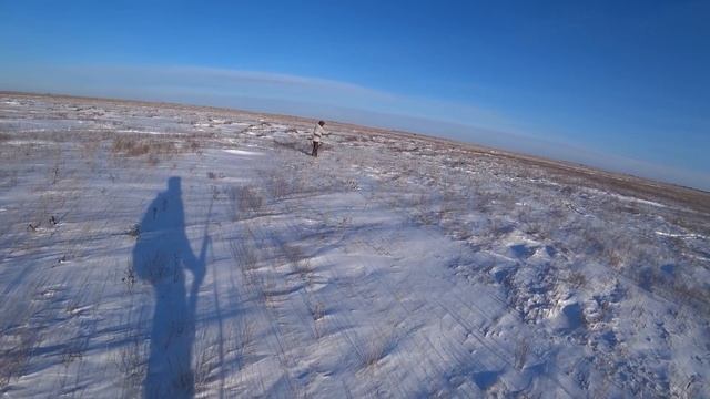 Охота с братом на зайца. Тропление по степи 2021