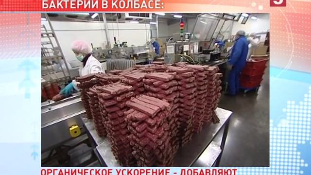 Идеальный состав сырокопченой колбасы. 