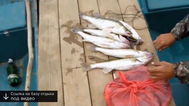 рыбалка в астрахани отчеты 2014 смотреть онлайн