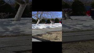 Прогулка 27-03-2024