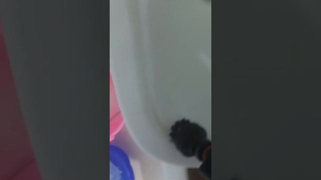 Пароочиститель MIE Pulito Vapore с водным камнем не справляется!!!.11 августа 2020 г.