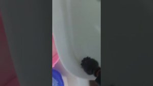 Пароочиститель MIE Pulito Vapore с водным камнем не справляется!!!.11 августа 2020 г.