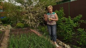 Желтеет чеснок? Мы поможем это исправить!