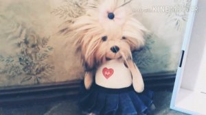 Обзор на Lucky DOGGY | 2 СОБАЧКИ!