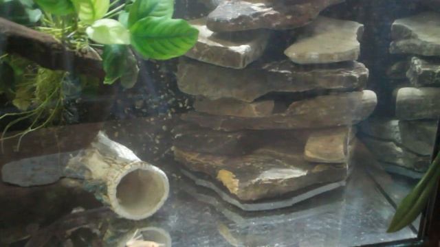 Грот для аквариума своими руками. смотреть онлайн