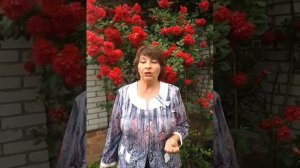 Международная лотерея ЛОВА, как источник дохода