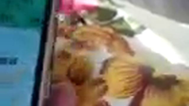 Тест моего самого первого телефона Samsung GT-E2370 смотреть онлайн