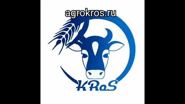 Ферма по выращиванию породы симментал продает КРС живым весом