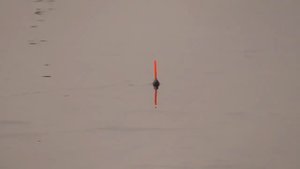 Закинул удочку и... вот она! Рыбалка на поплавок весной с берега