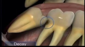 Пародонтология