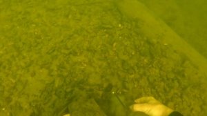 Что можно найти под водой, на рыбацком месте 4. Подводный поиск в реке.