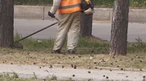 К покосу травы на городских улицах приступил подрядчик в Комсомольске-на-Амуре