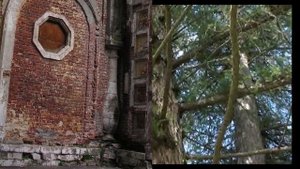 Княгиня  «старой усадьбы».  Усадьба Воробьёво.