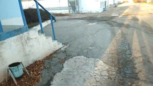 Поймал ворону