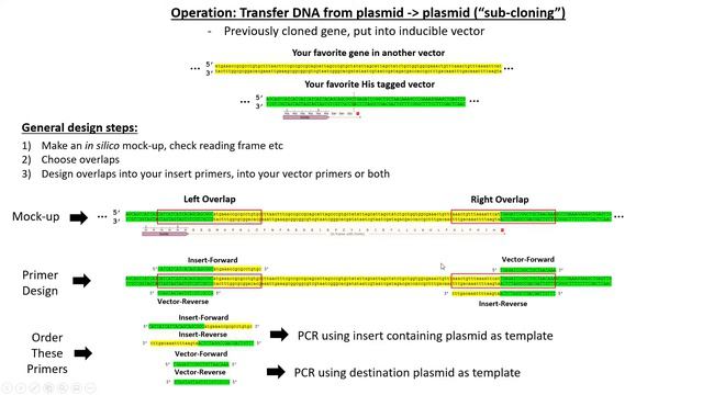 (PJ e12) Cloning Workshop Part 1 - Designing your Cloning Experiment смотреть онлайн