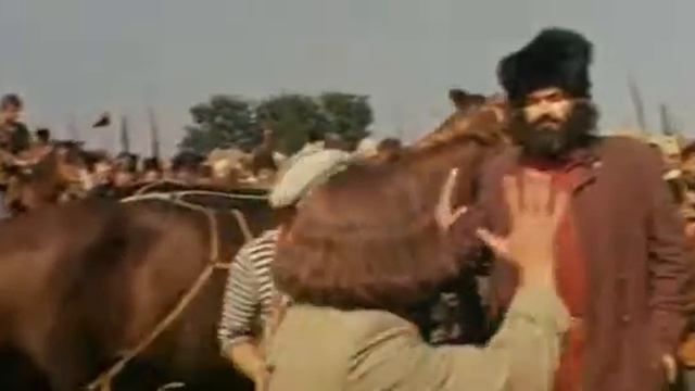 Будущее - это большое зеленое поле, по которому будут гулять только кони и женщины! смотреть онлайн