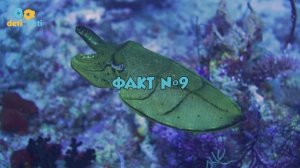 10 интересных фактов о Марианской впадине