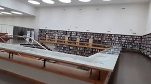 Мой отпуск. Прогулка по Выборгу. Лось- символ города. Библиотека Алвара Аалто. Красная площадь