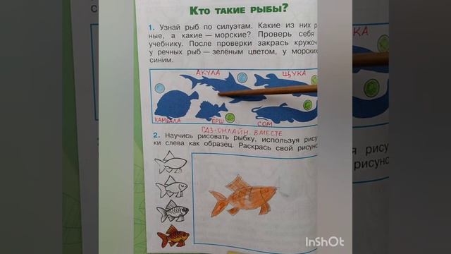 1 класс. ГДЗ. Окружающий мир. Рабочая тетрадь.Часть 1. Плешаков. Страница 22. С комментированием