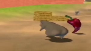 бегемот бежит