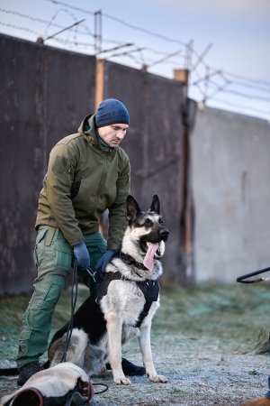 Выпускник питомника ВЕО Русский Амулет Елеон