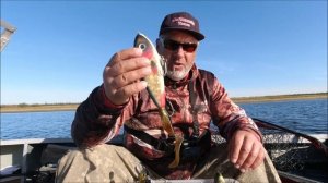 Приманки на щуку,  что я взял в дорогу! Мой рыболовный ящик!