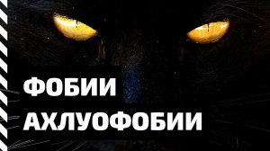 Фобия. Ахлуофобии — боязнь темноты и айлурофобия — боязнь черных кошек