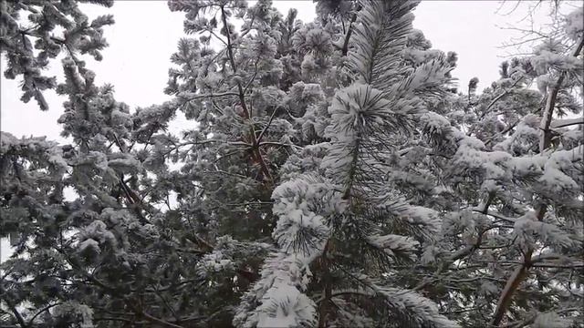 Первый осенний снег. Бая Че Доктор Натуропатии смотреть онлайн