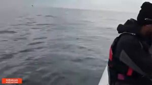 Касатка пускает фонтан возле лодки Камчатка
