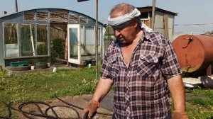 Суперудобрение! Из прошлогодней картошки! Поливаем всё!