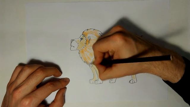 Учимся рисовать животных #3 Лев смотреть онлайн