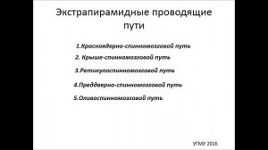 Экстрапирамидная система: топография, строение, функции