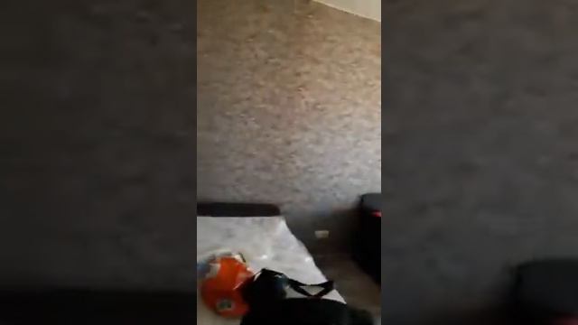 Ремонт квартир в Нижнем Новгороде смотреть онлайн